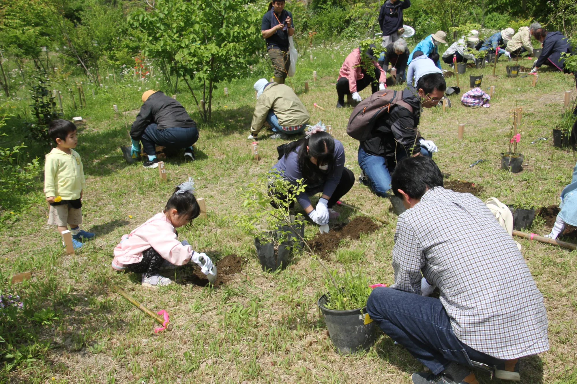 森の墓苑 植樹草会の様子