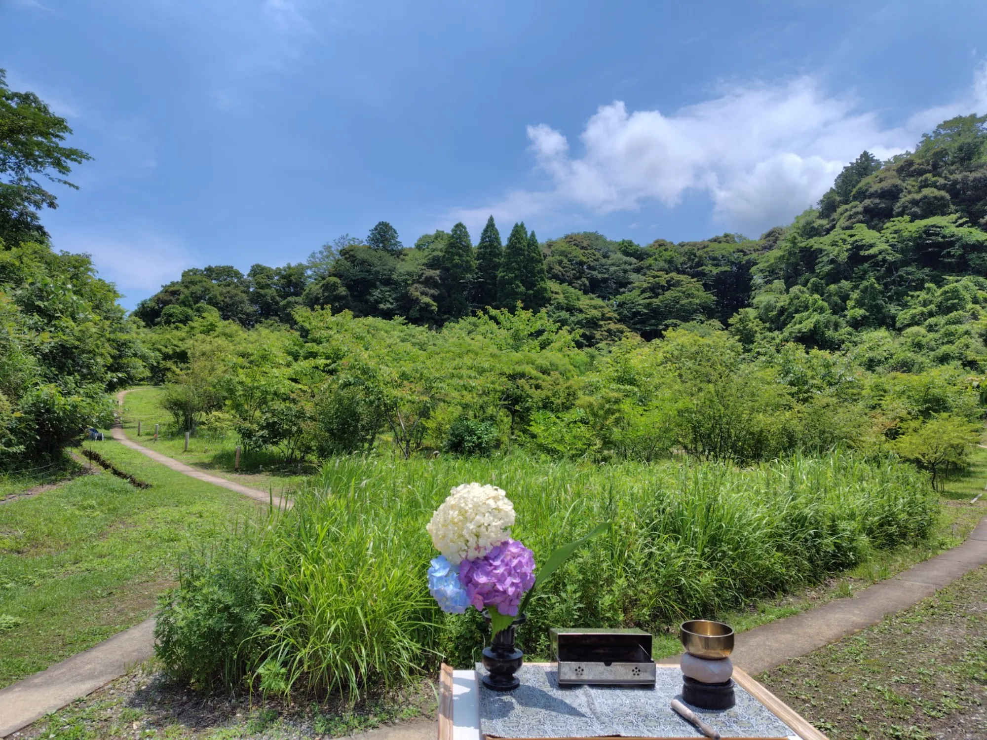 森の墓苑 正面から見た全景