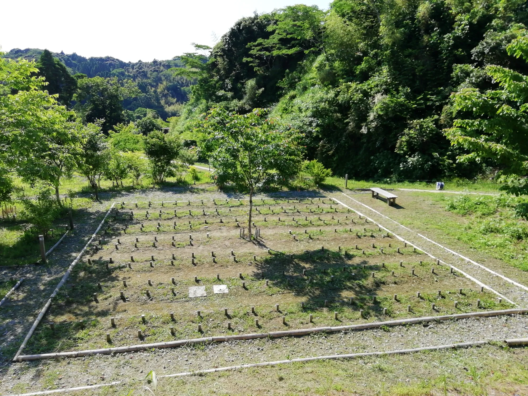 森の墓苑 合葬墓やまざくら全景