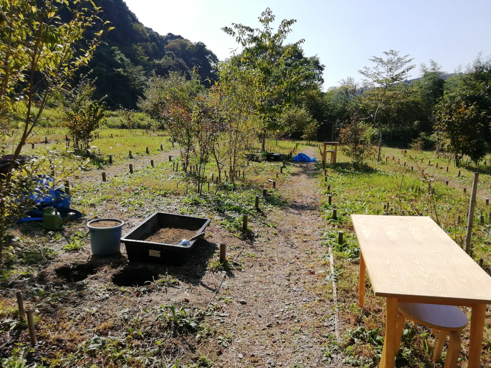 森の墓苑 埋葬の様子