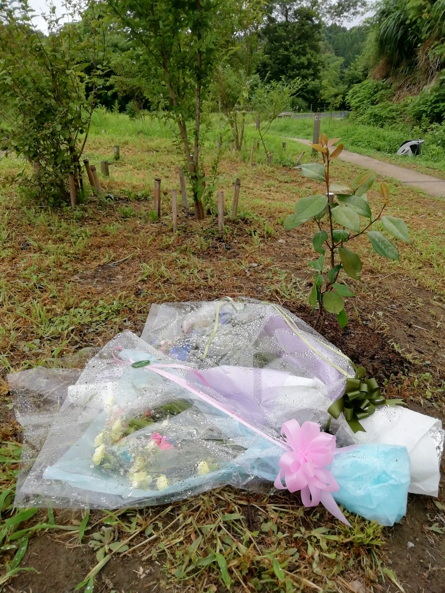 森の墓苑 区画への供花