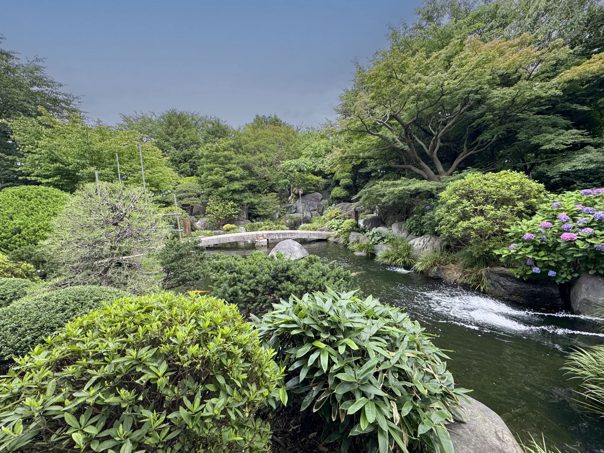 紅葉亭 園内風景13