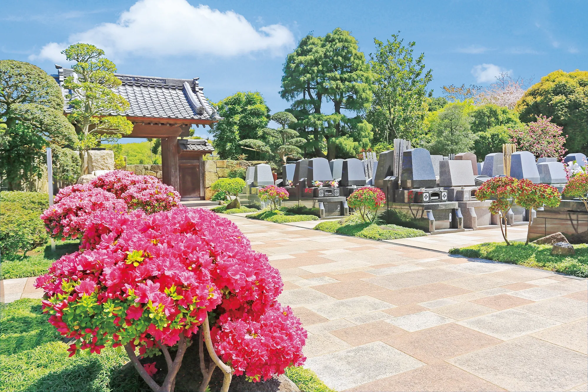 三条・四条 墓域全景