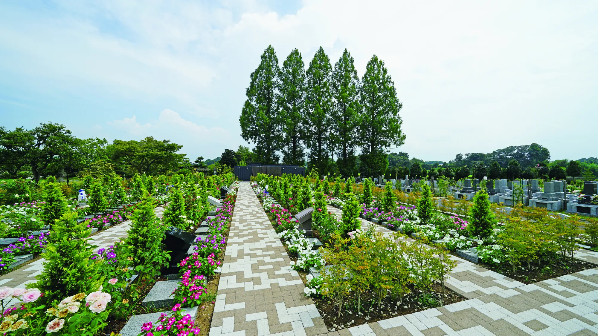 園内全景