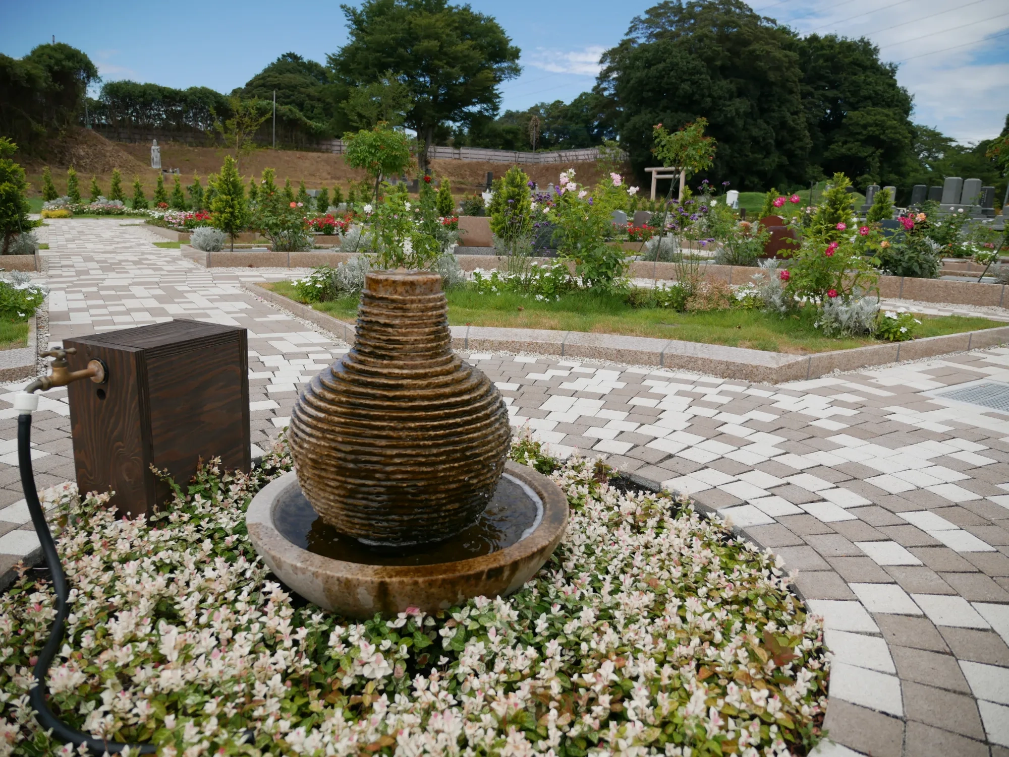 中央の水盤と植栽
