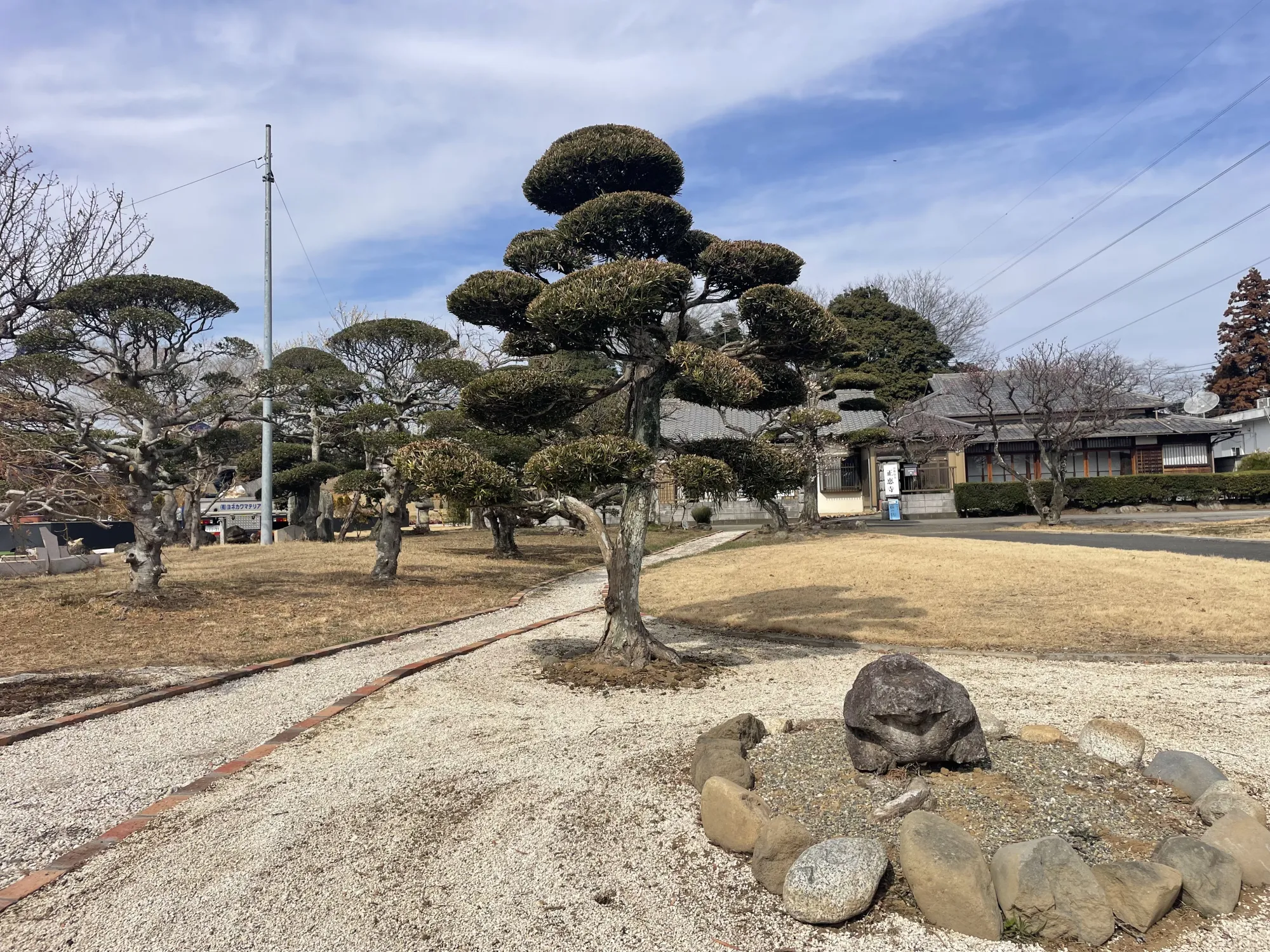 松をあしらった境内の庭