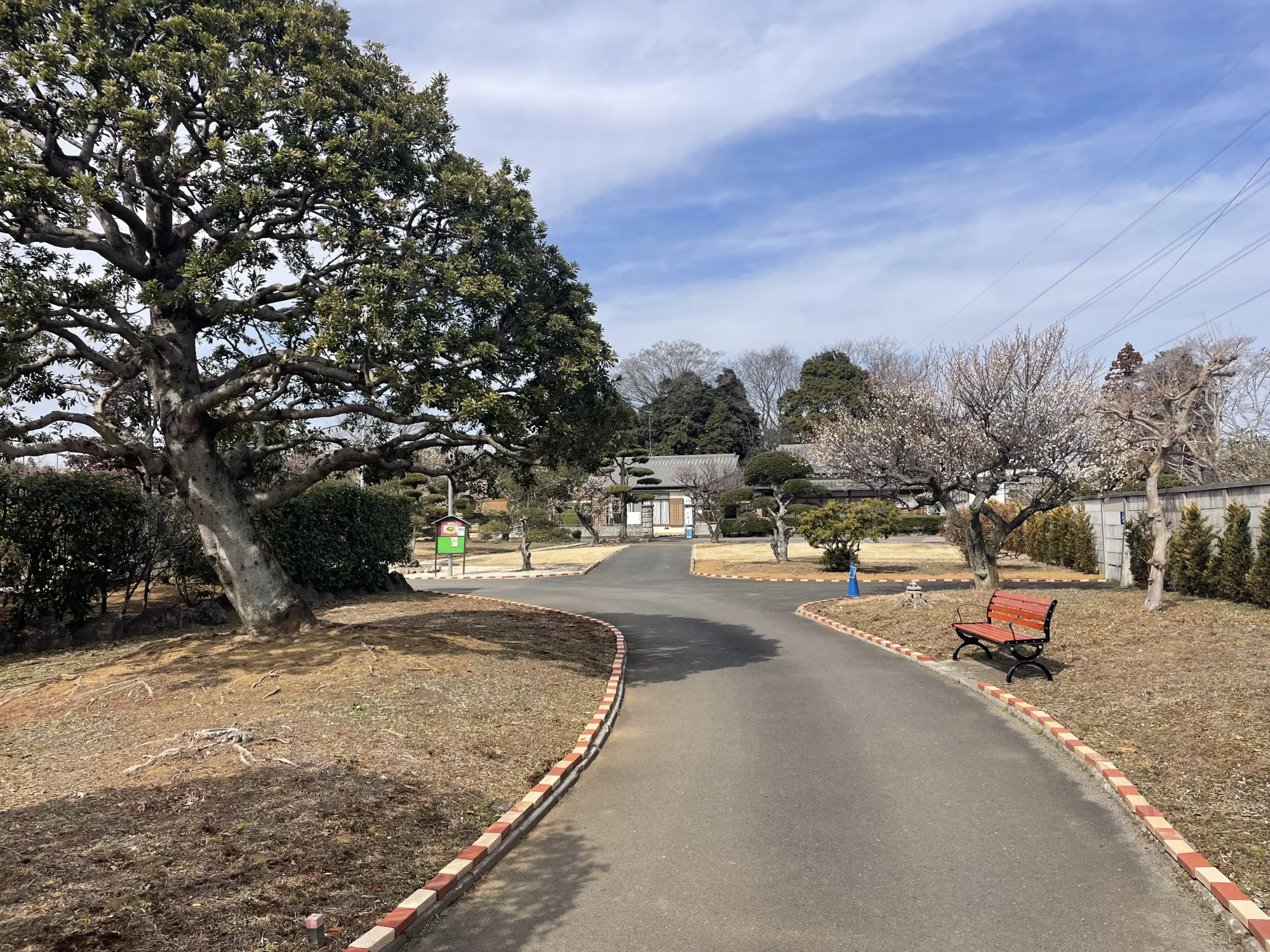 園路とベンチ