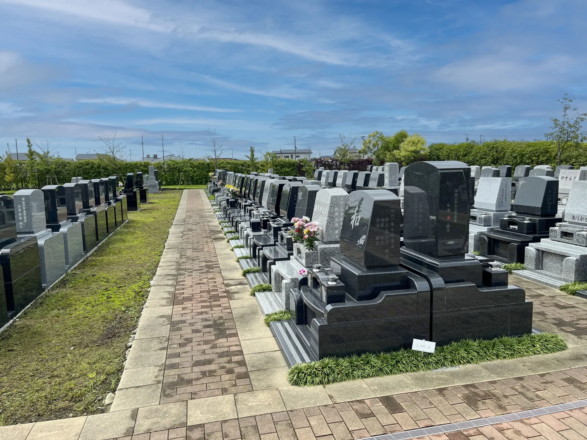園内風景