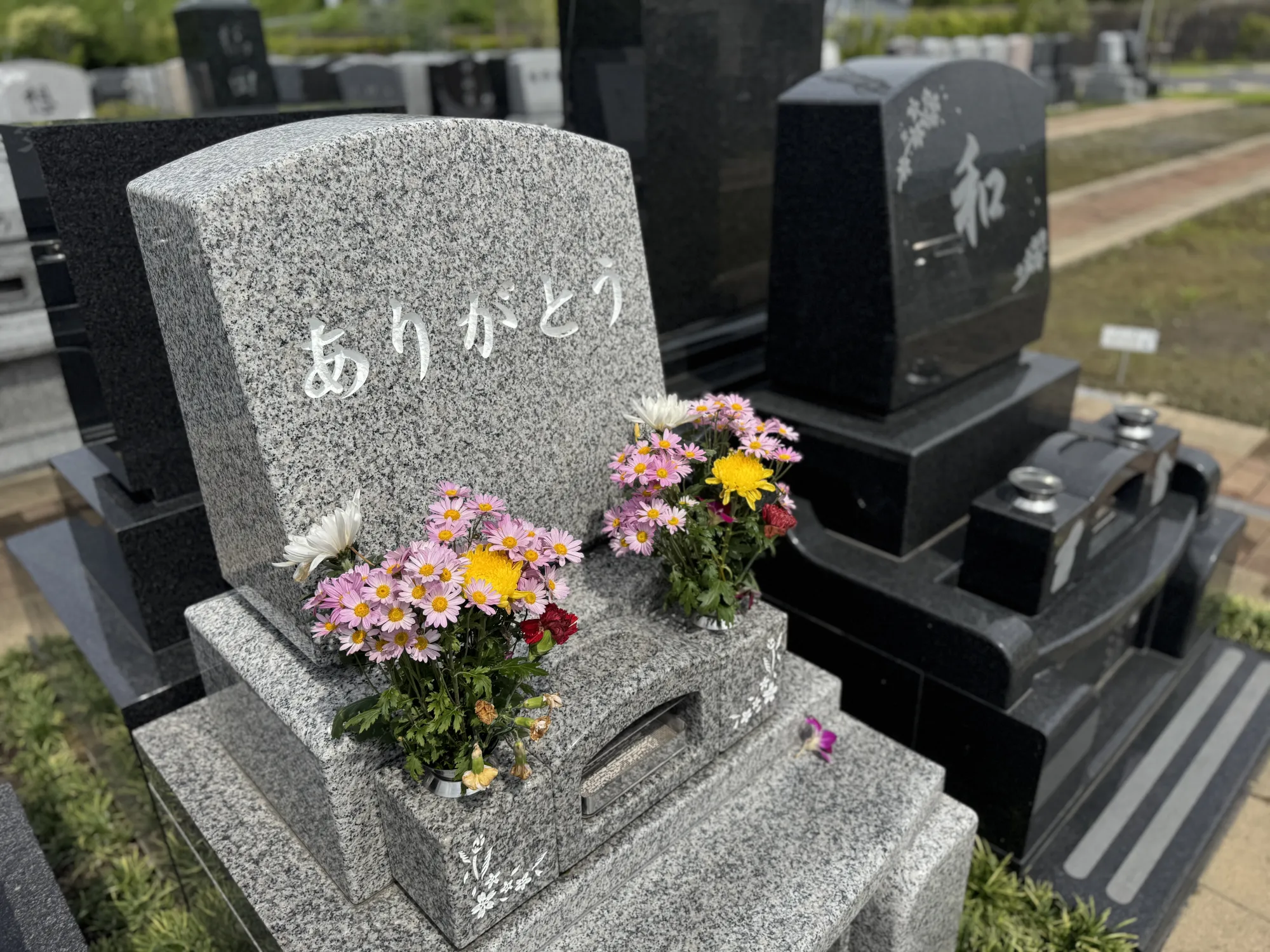 園内風景