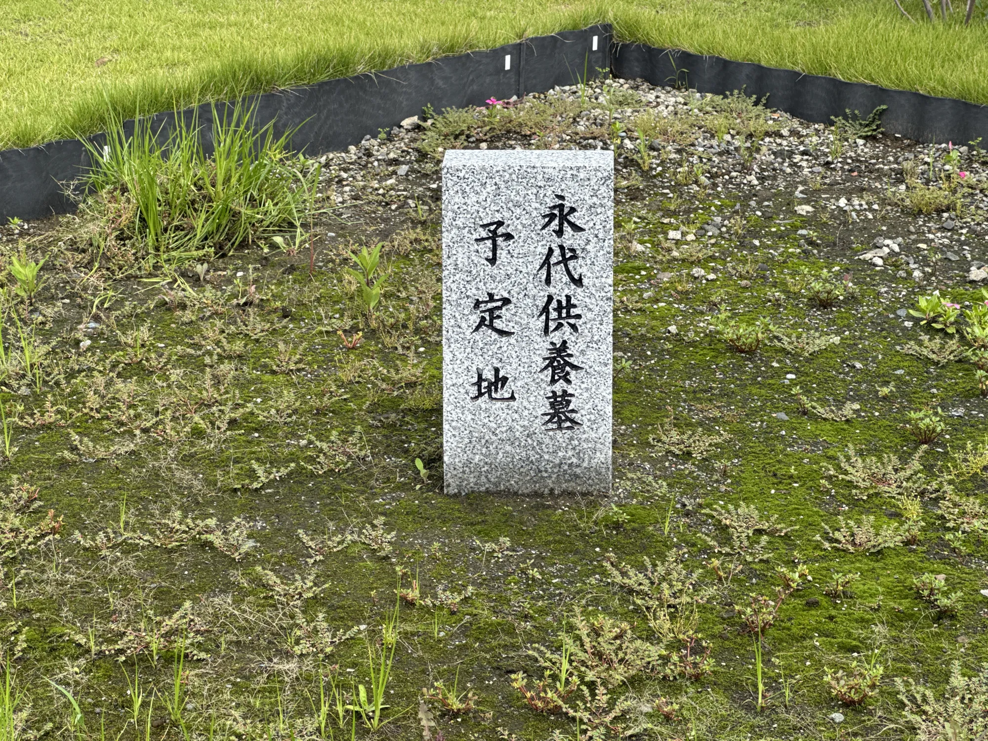 園内風景