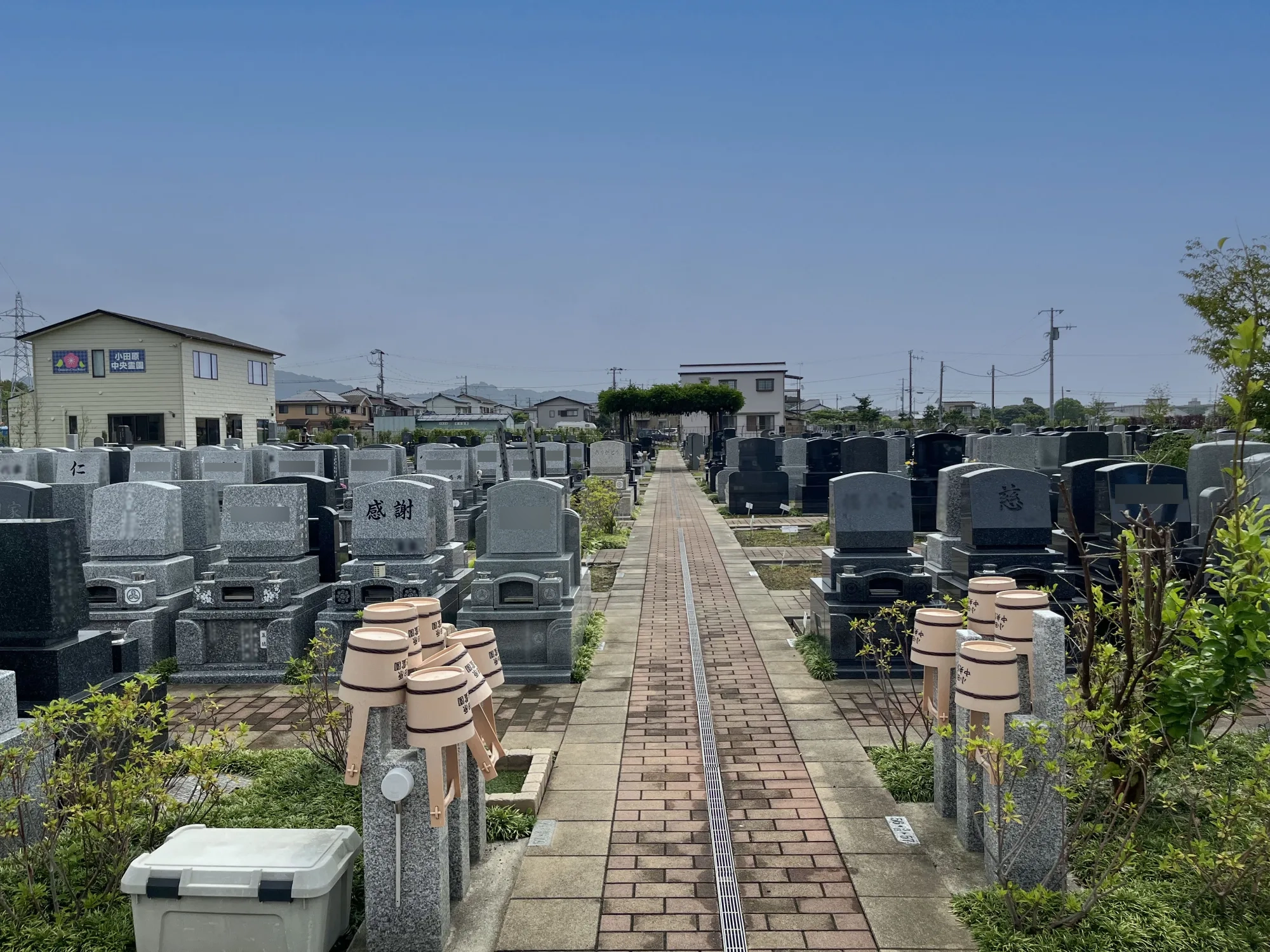 園内風景