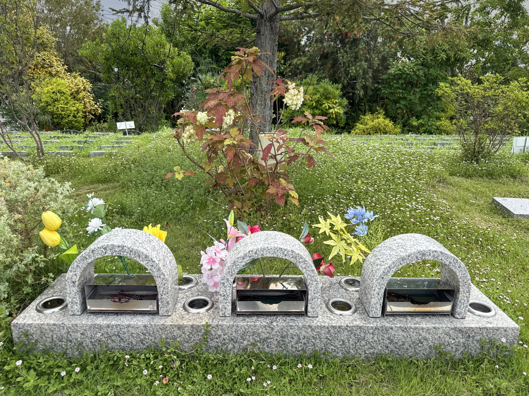 園内風景