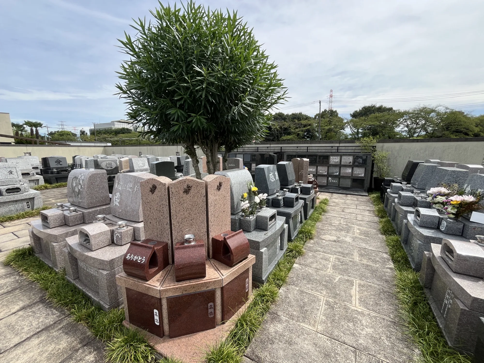 ゆとり区の墓域