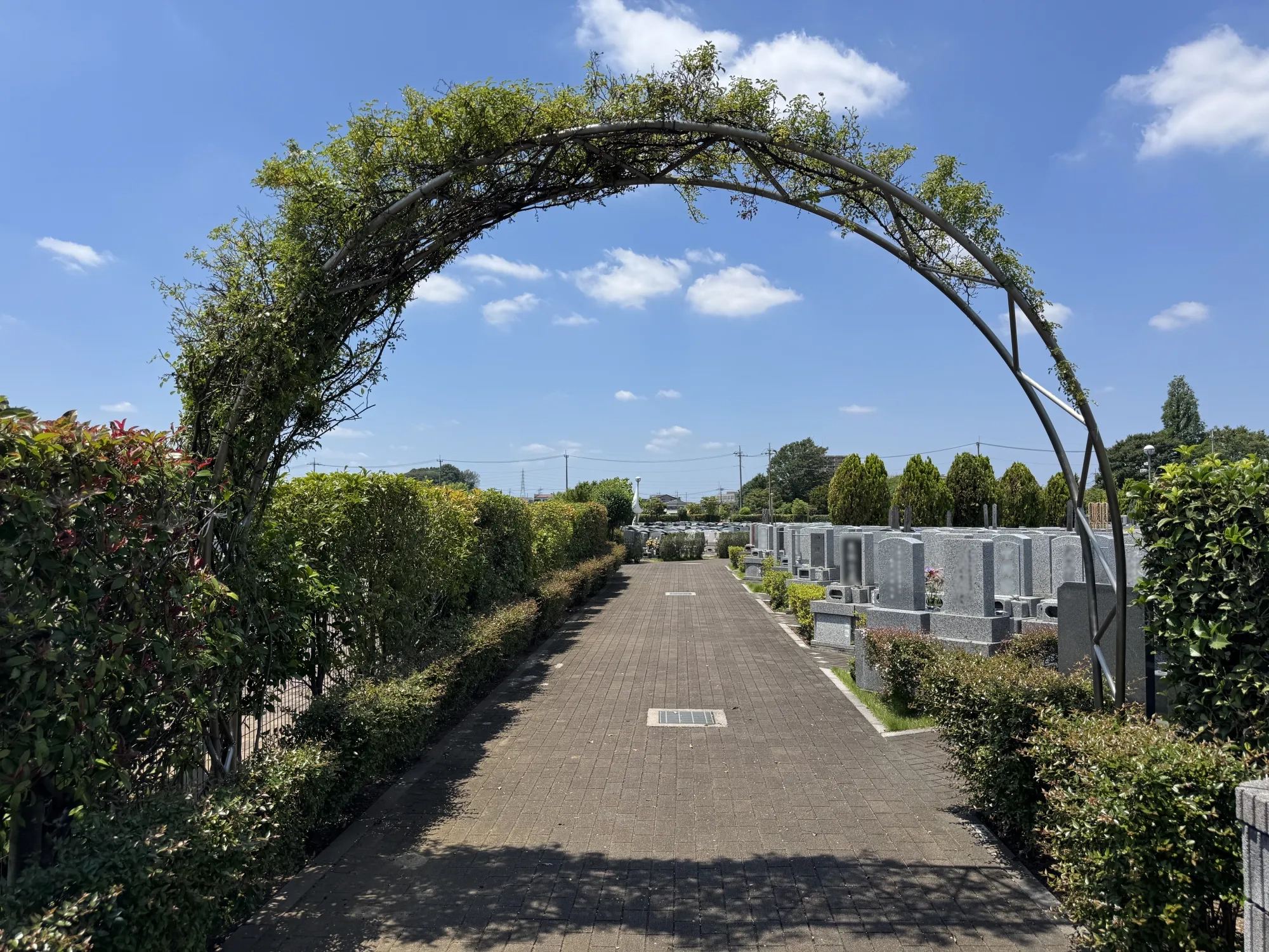 園内風景