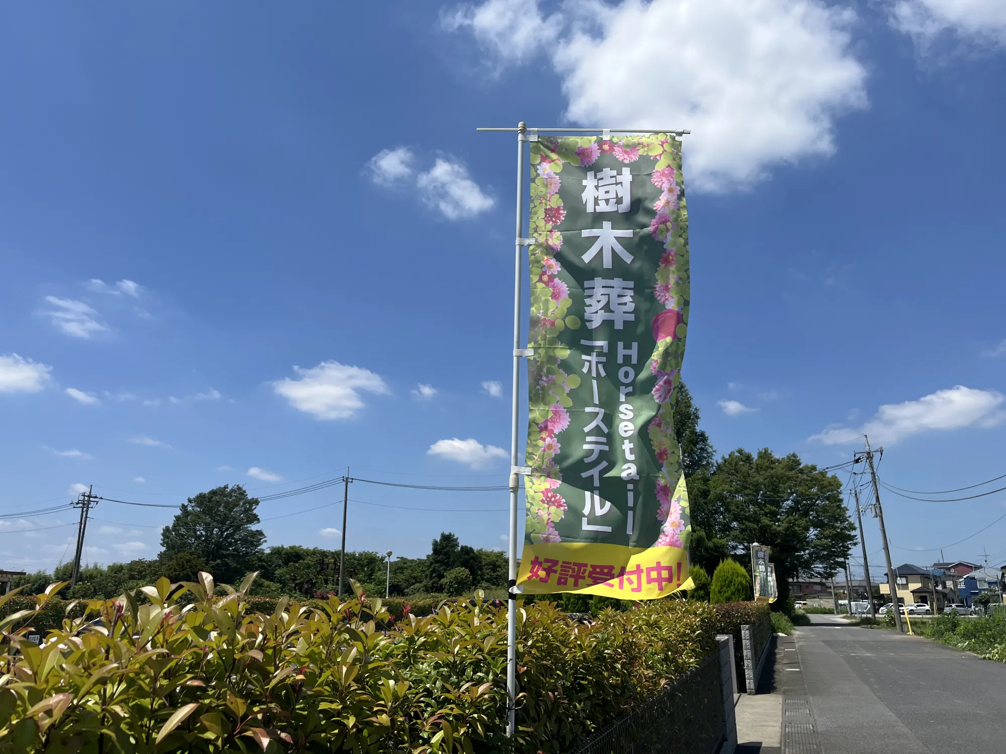 入口・看板