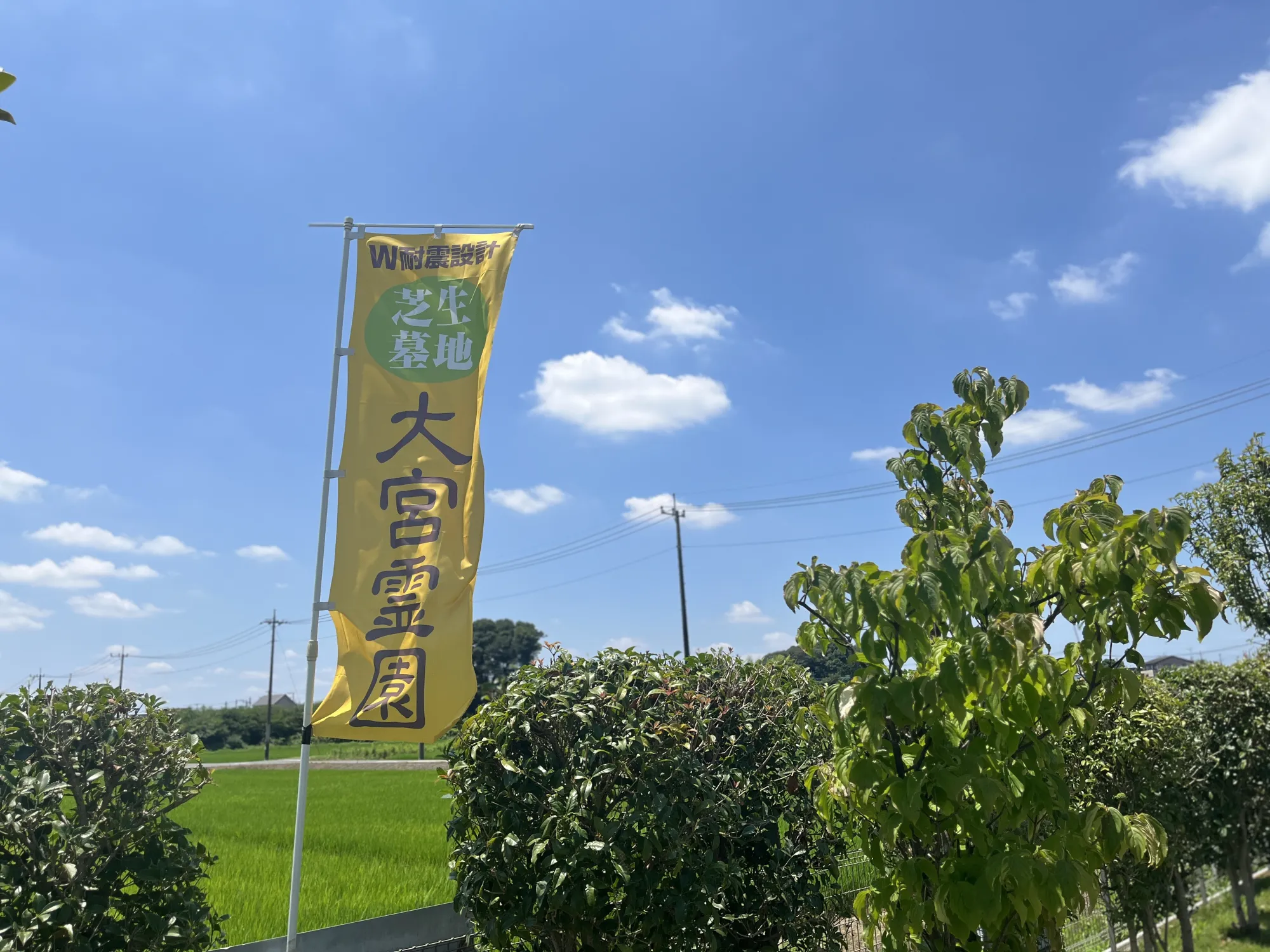 入口周辺