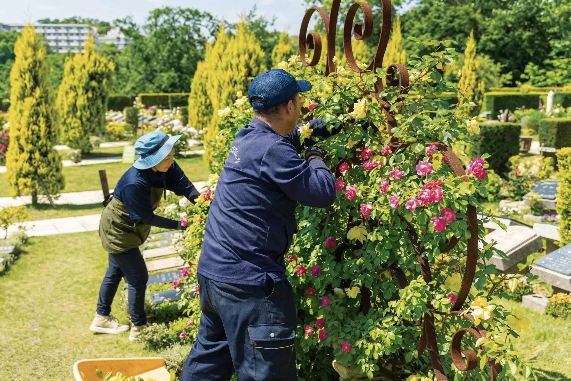 植栽のある墓域