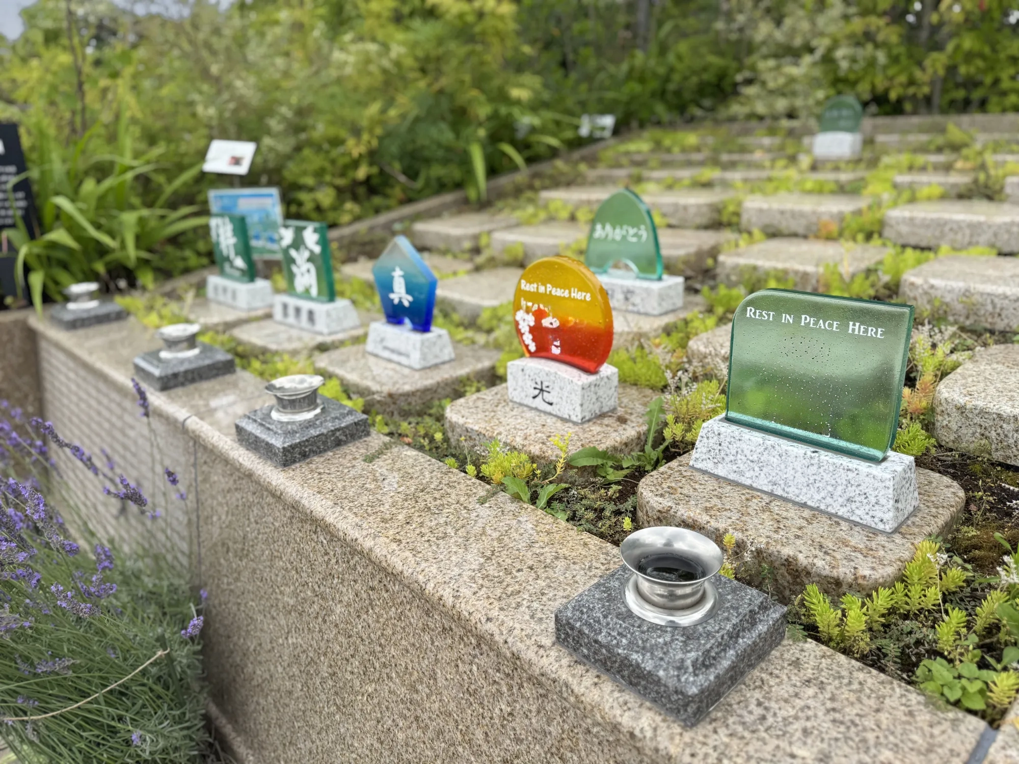 相模ふれあいの杜 田名聖地霊園 樹木葬区画の緑
