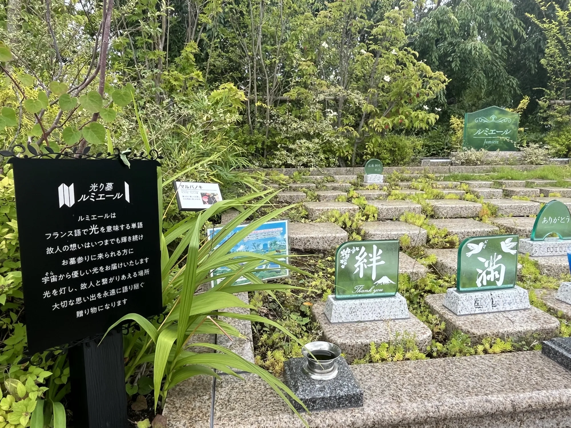 相模ふれあいの杜 田名聖地霊園 樹木葬エリアの緑