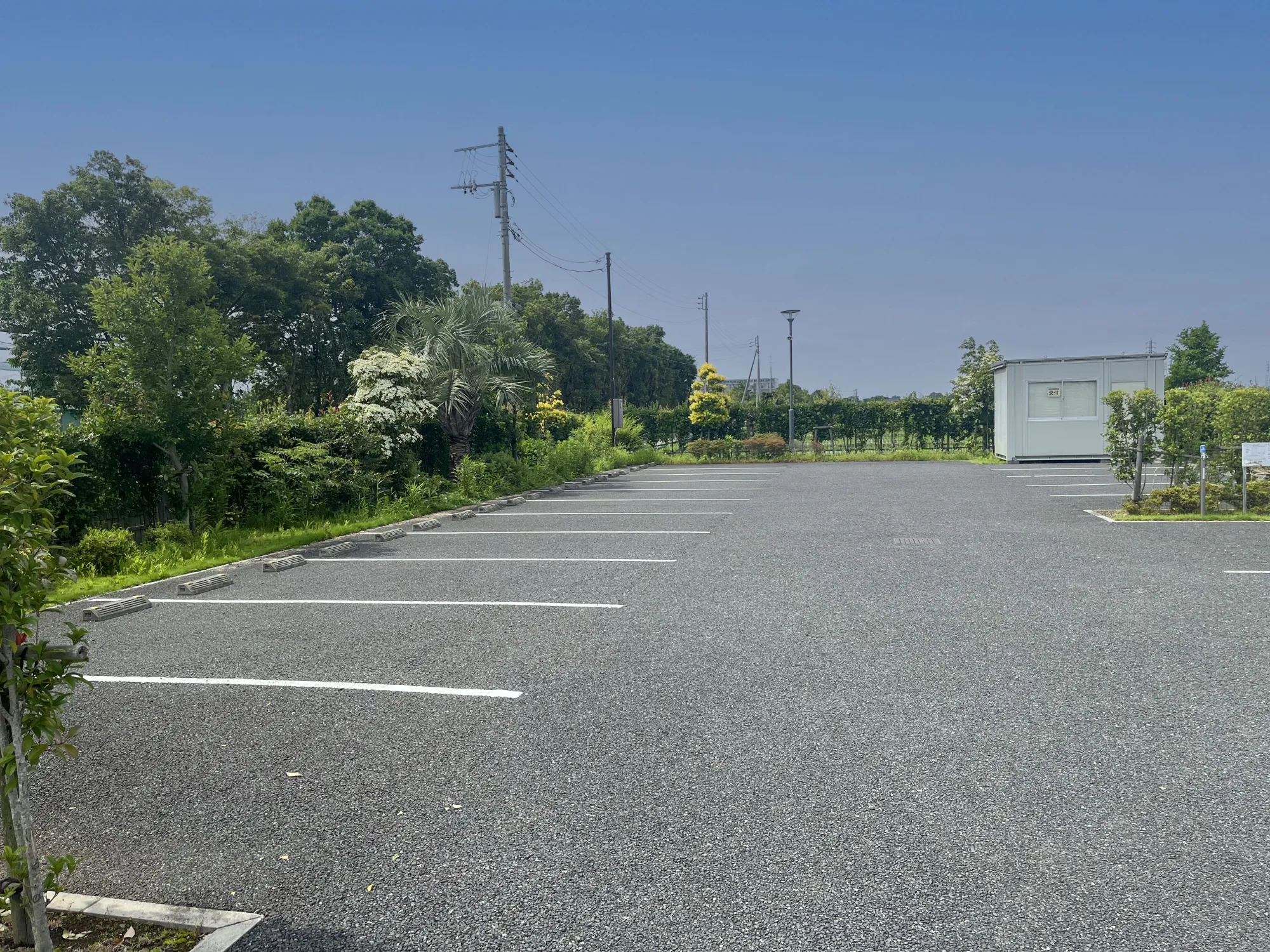 彩光浄苑 園内風景12