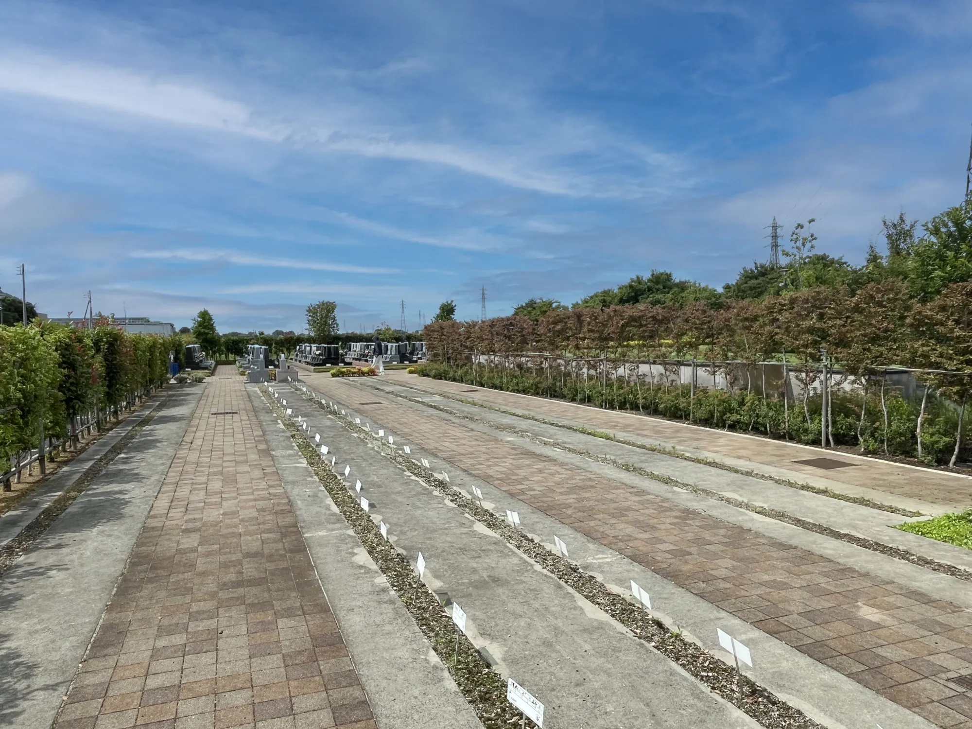 彩光浄苑 園内風景19