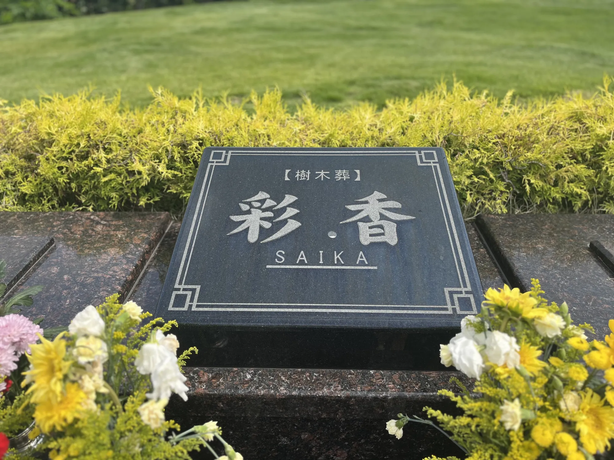 彩光浄苑 園内風景20