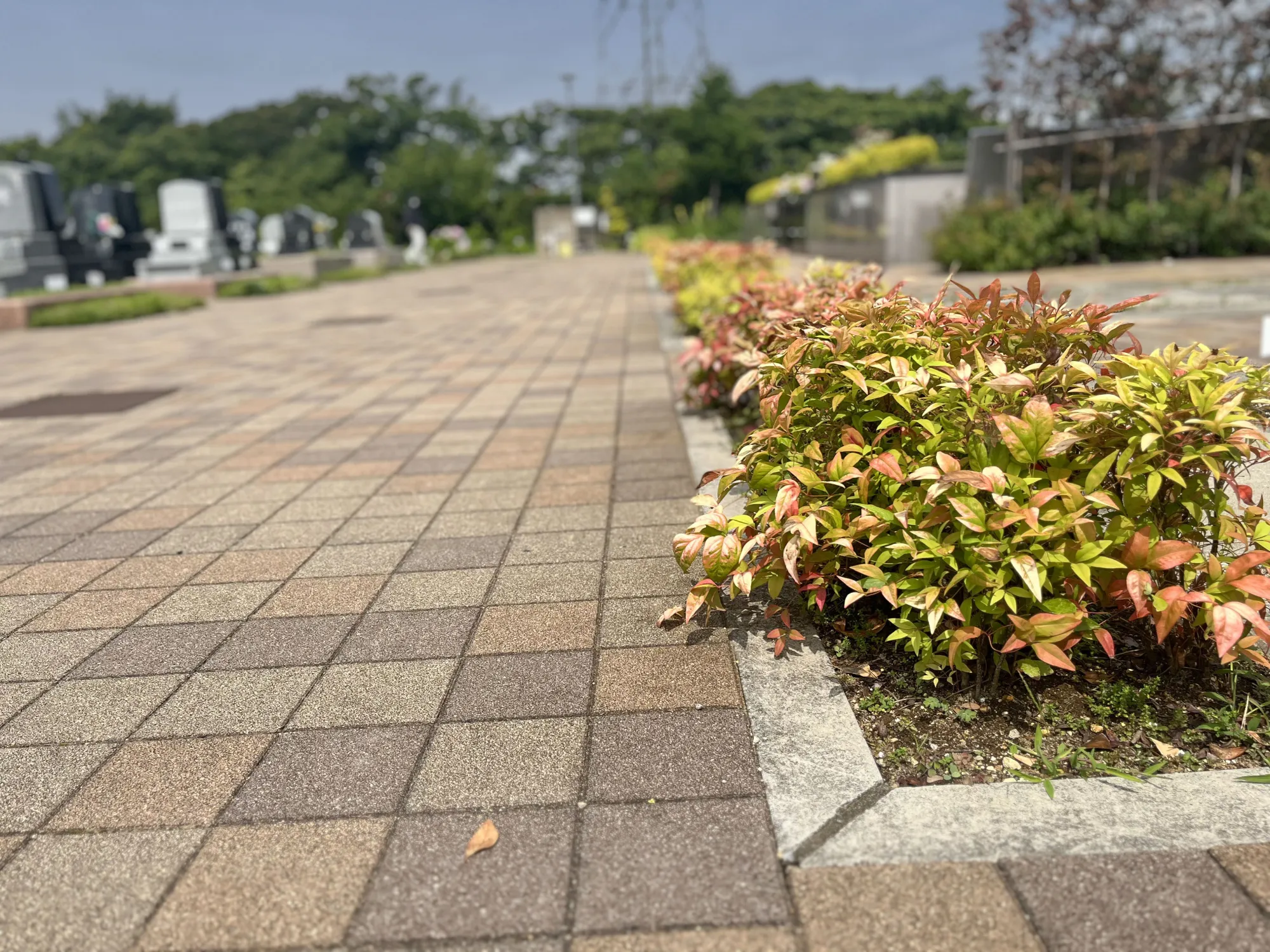 彩光浄苑 園内風景23