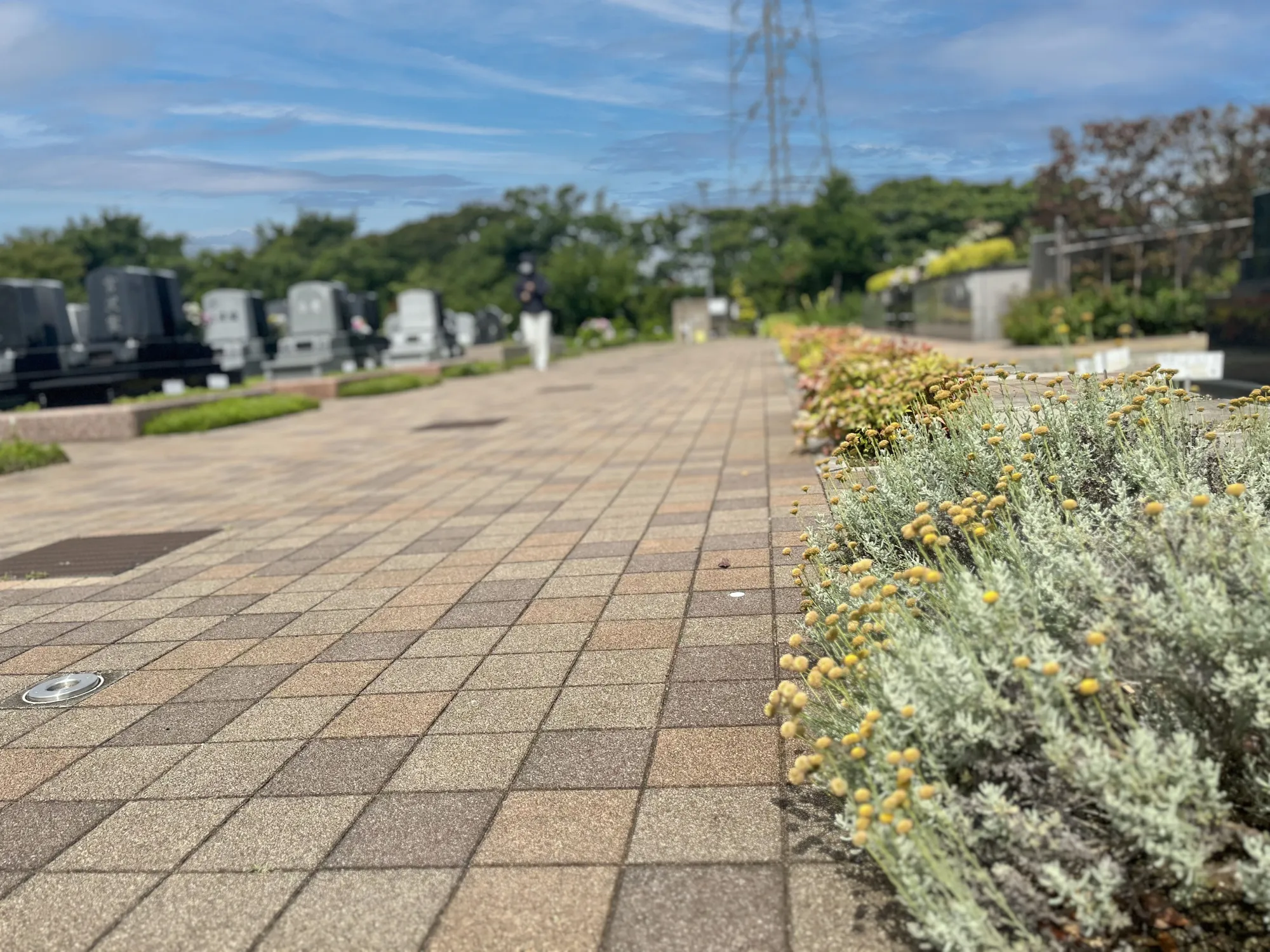 彩光浄苑 園内風景24