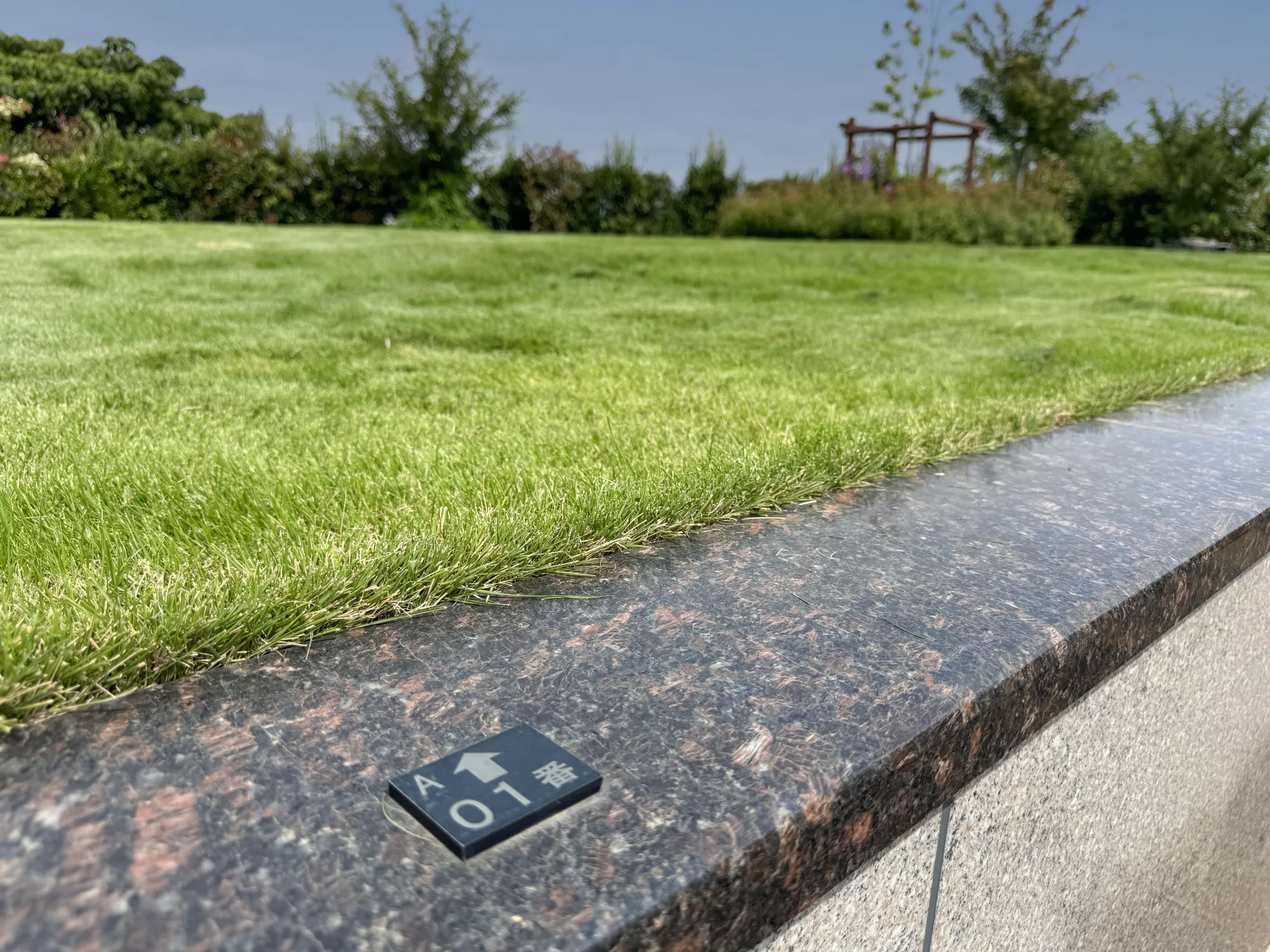 彩光浄苑 園内風景30