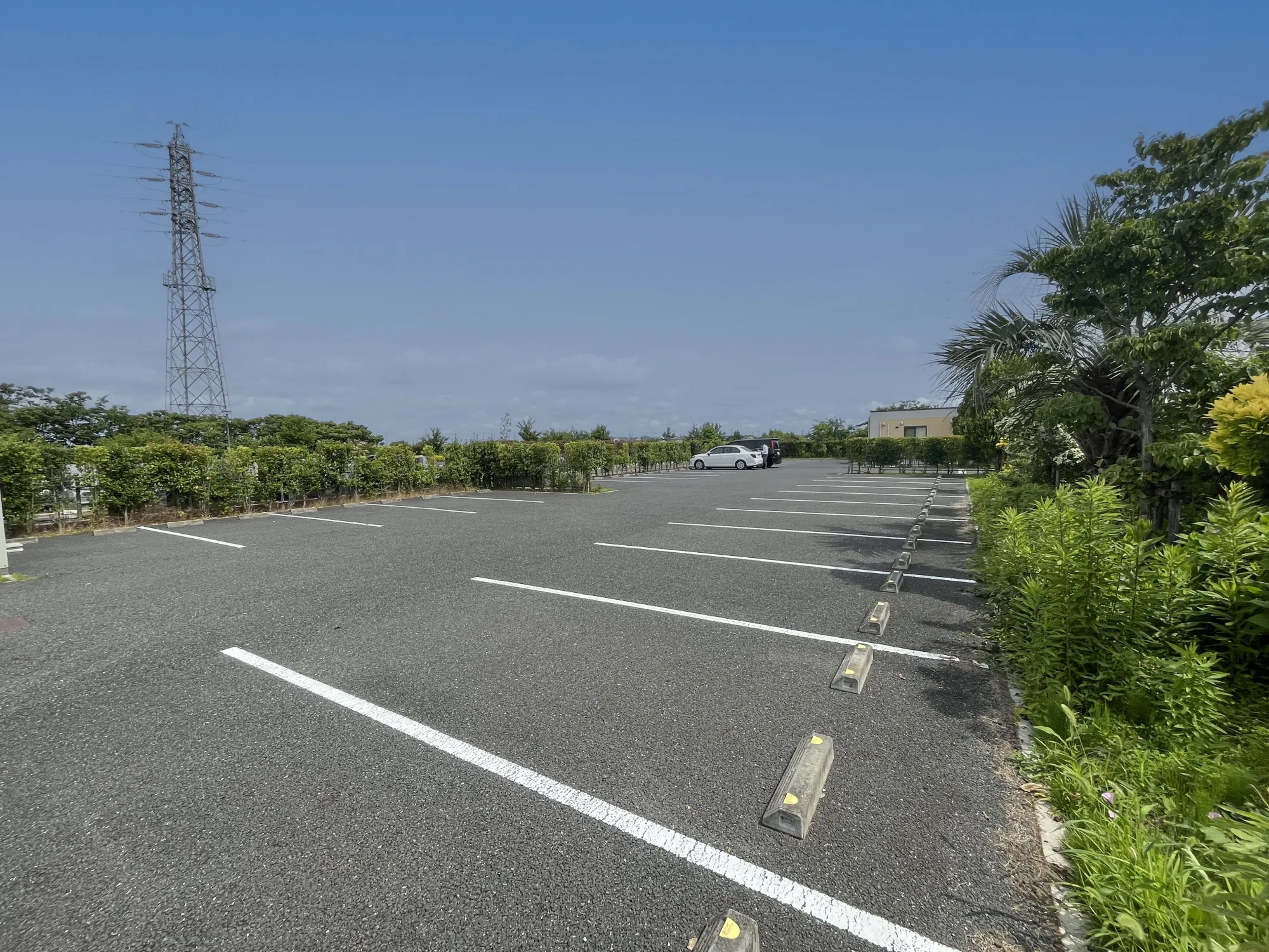 彩光浄苑 平置き駐車場