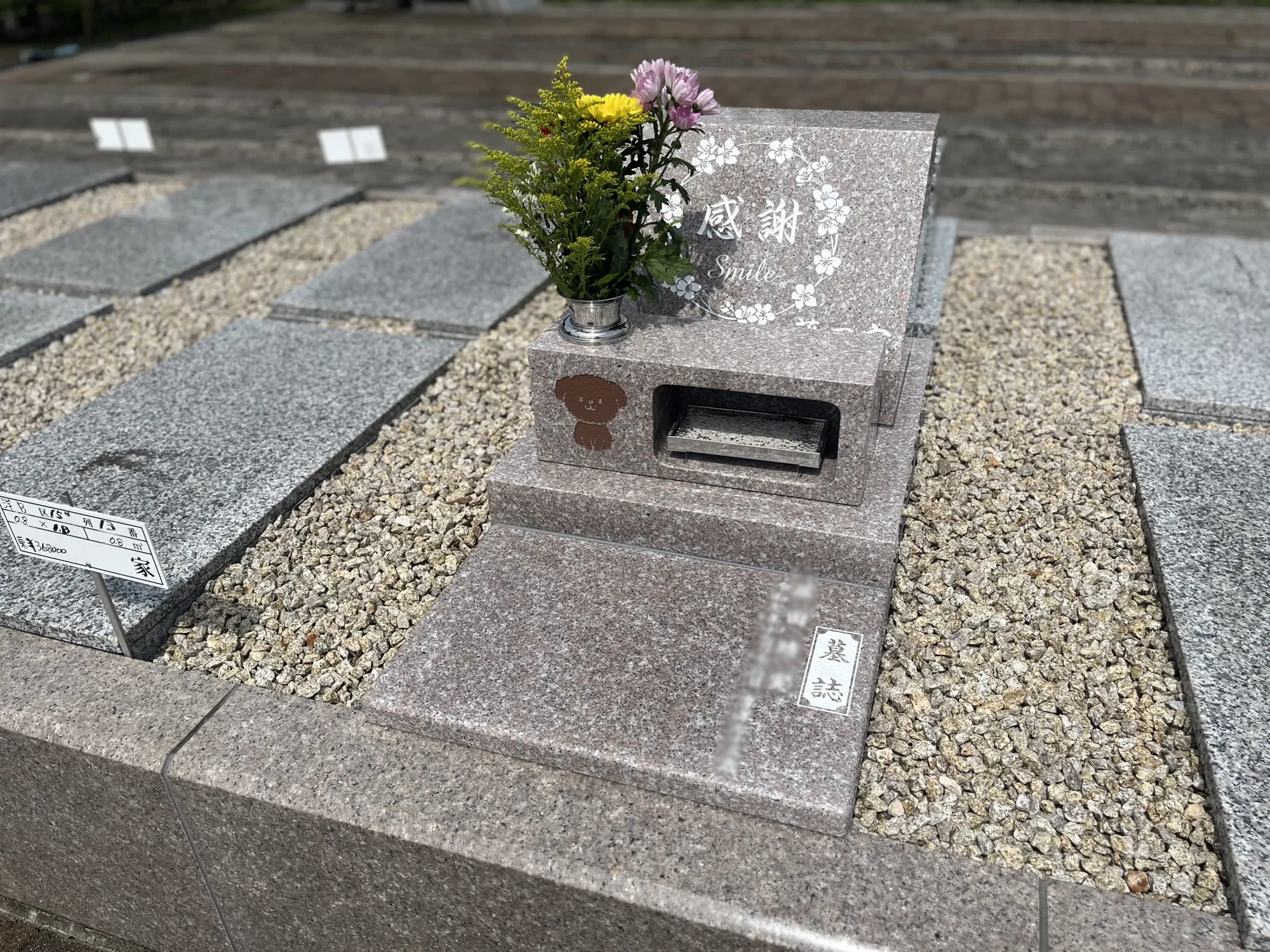 彩光浄苑 ペットの彫刻がある一般墓