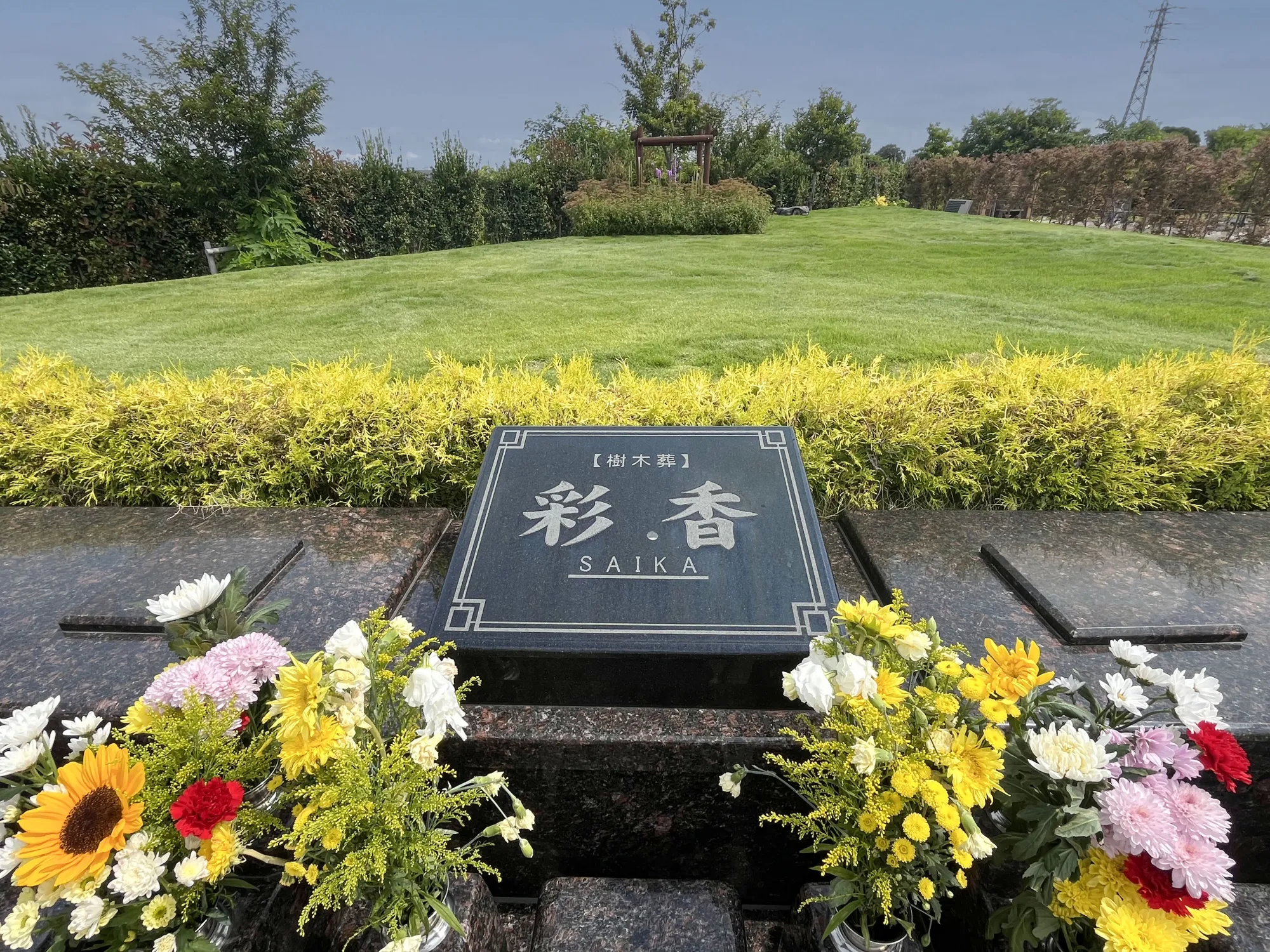 彩光浄苑 ペット共葬区画のある樹木葬「彩香」