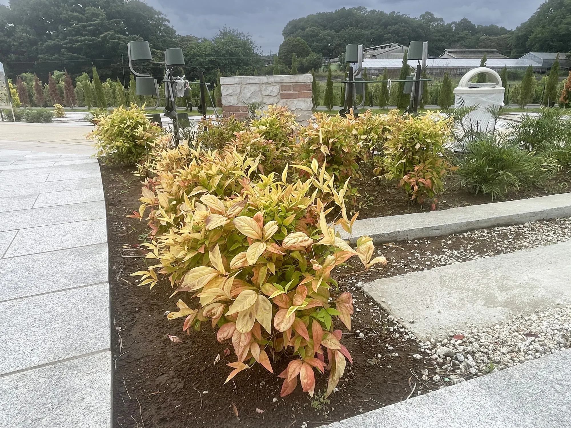 園内の植栽