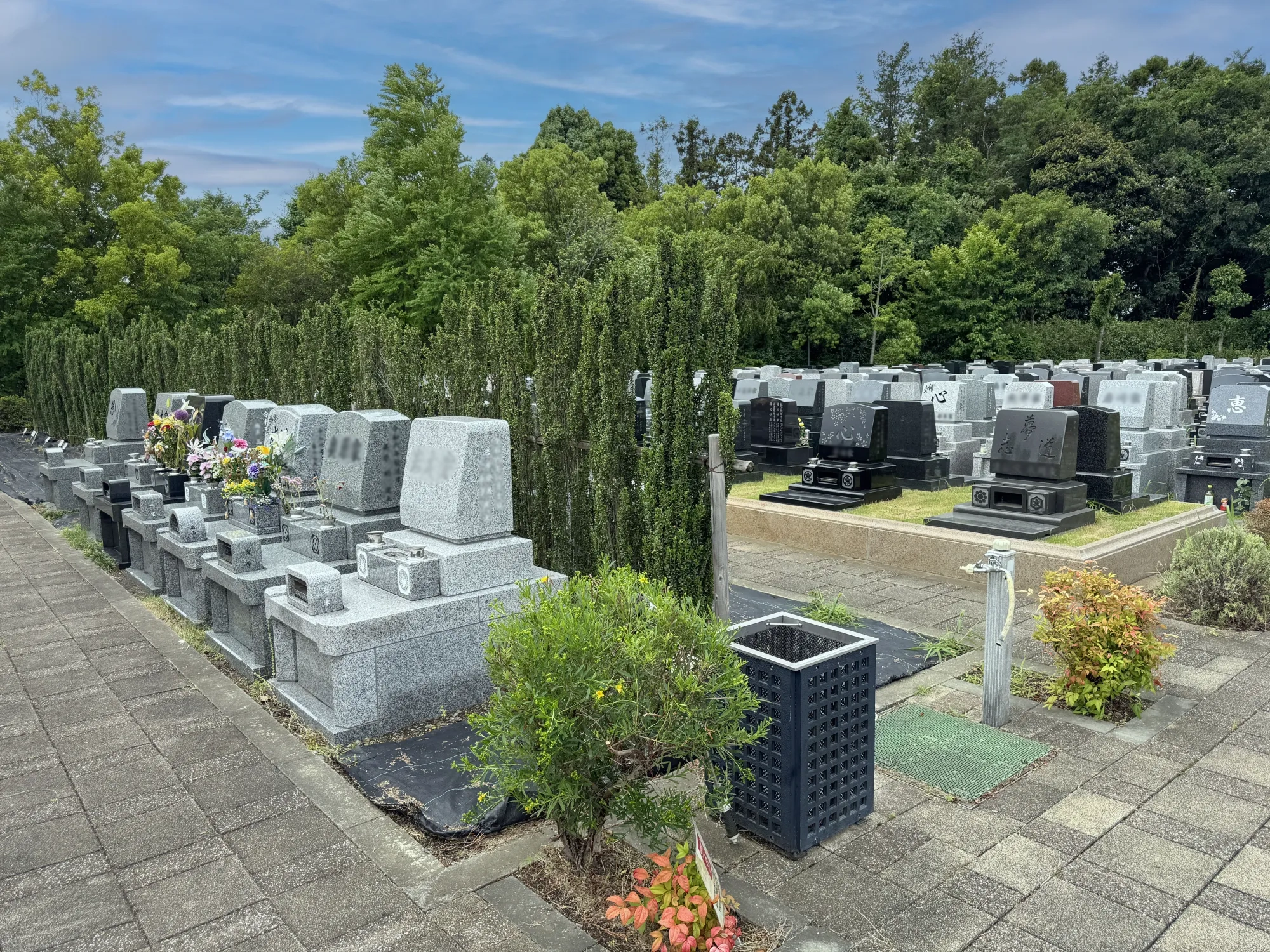 植栽区画イメージ