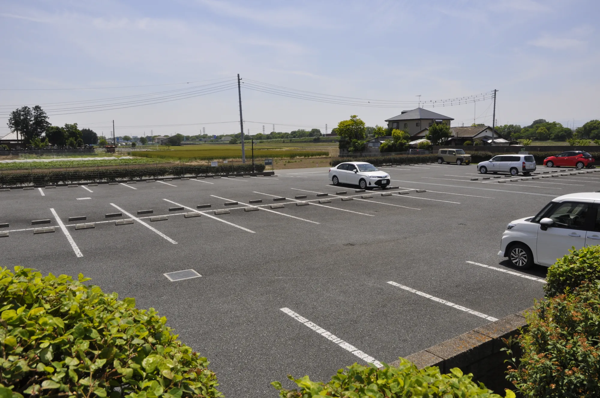 植栽の向こうに広がる屋外駐車場