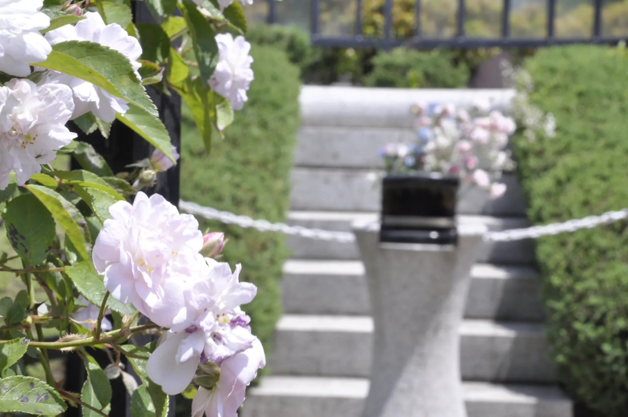 手前の花を活かして見た永代供養墓の献花まわり