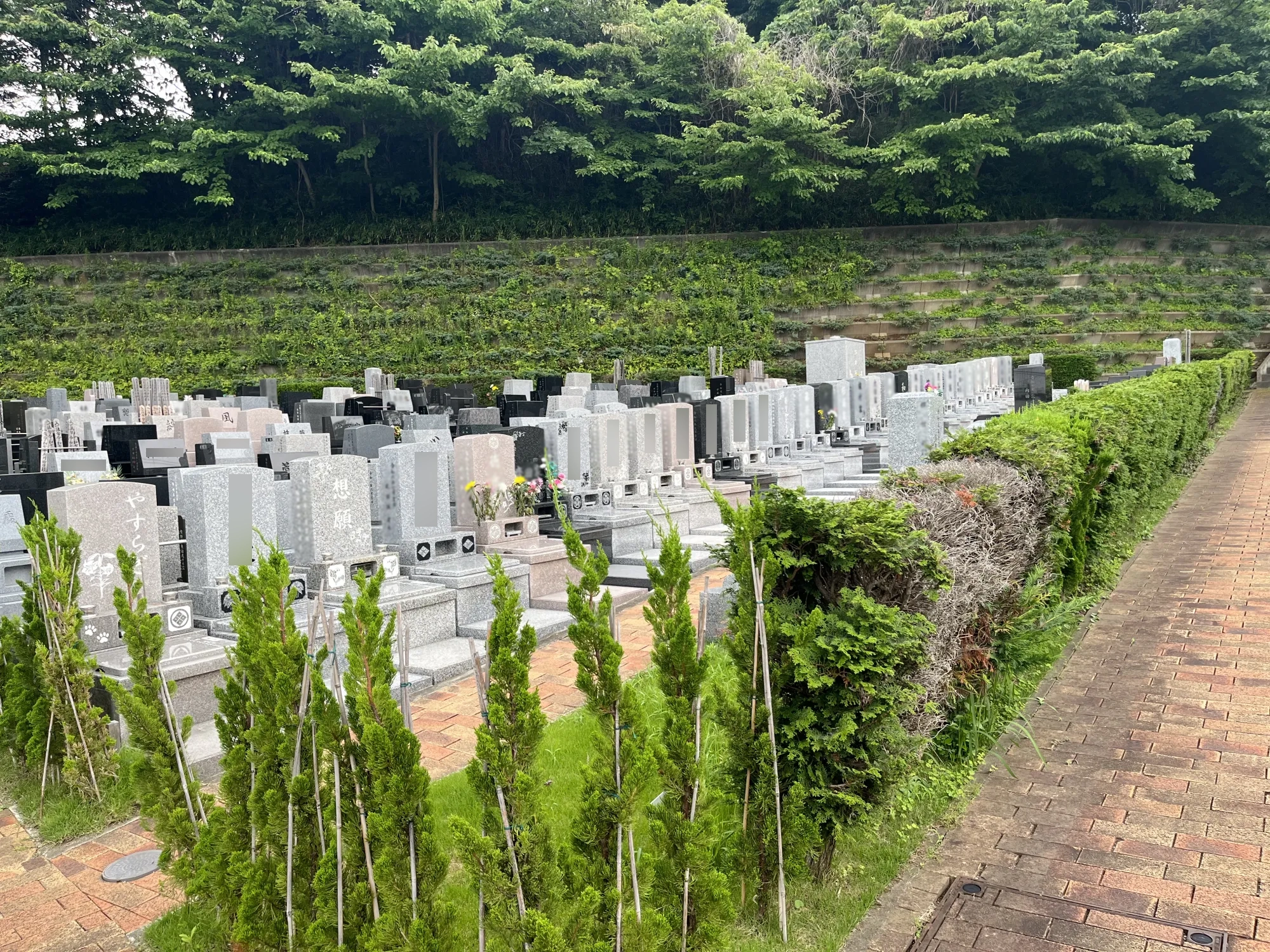 静林の丘鶴ヶ峰霊園 緑に囲まれた参道