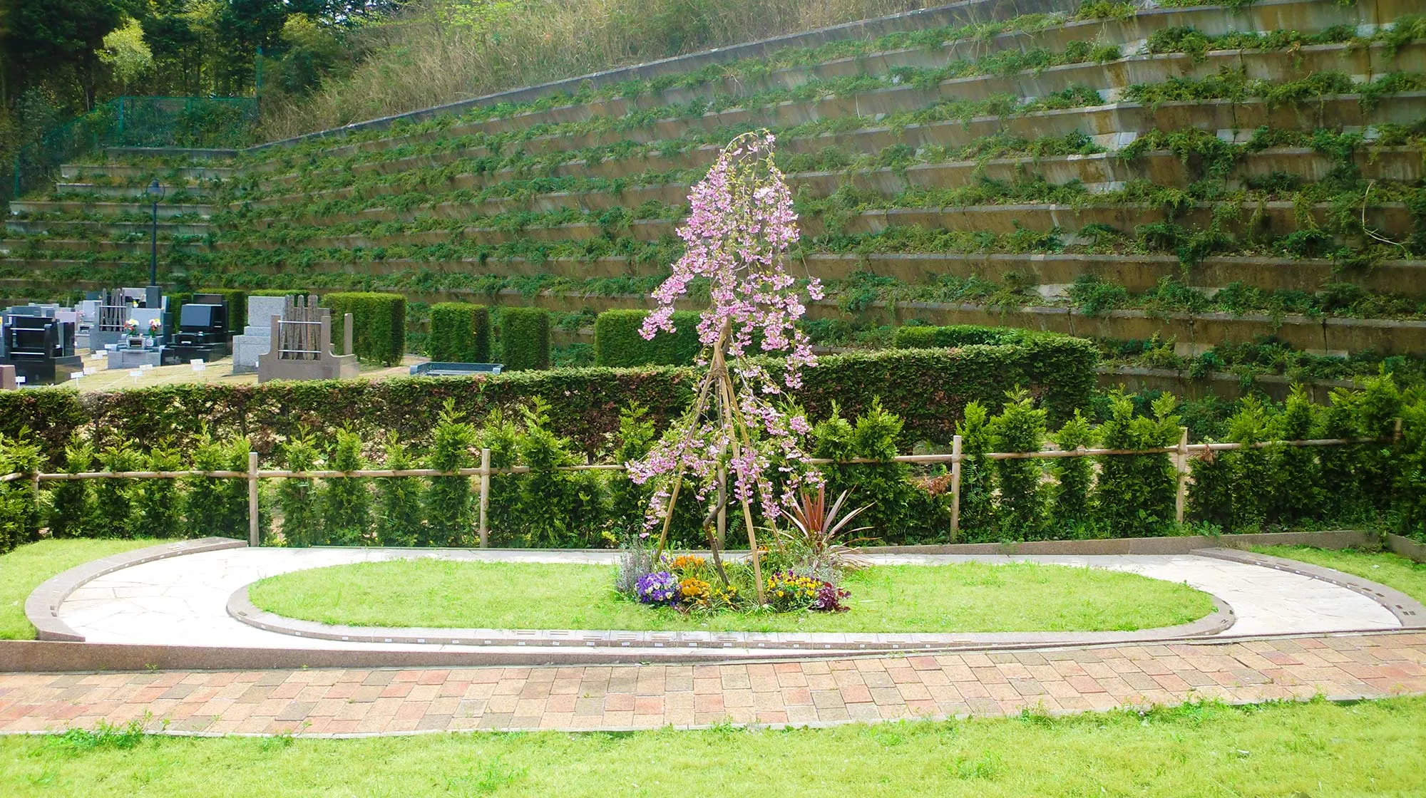静林の丘鶴ヶ峰霊園 桜乃樹木葬の区画
