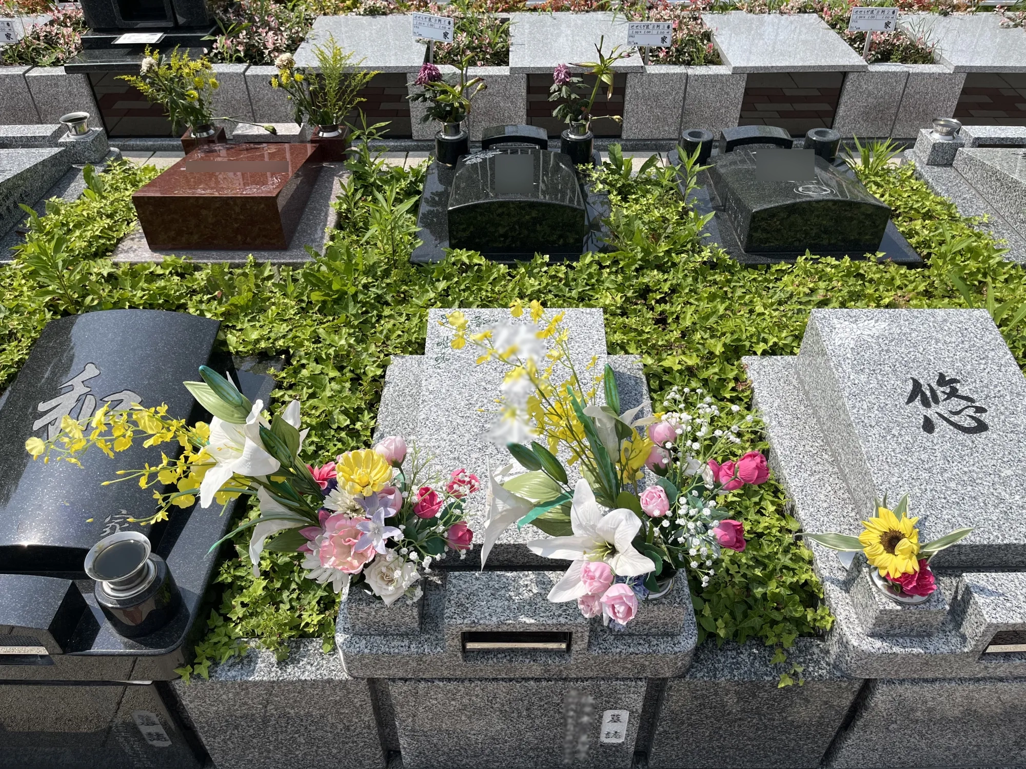 期限付永代供養墓所 1.0㎡